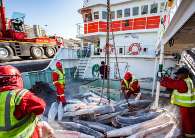 Vessel Discharging