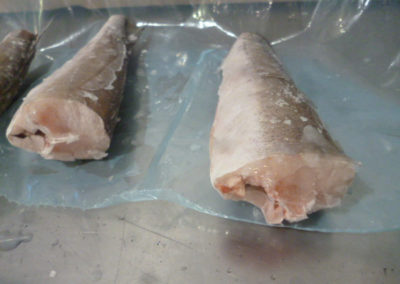 HGT Individual Pieces