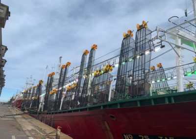 Illex Jigger Docked