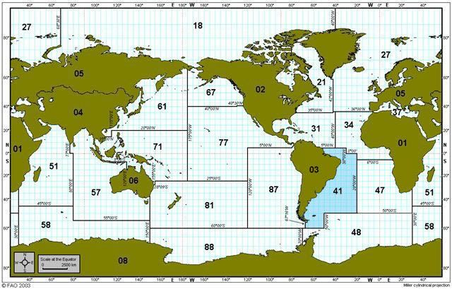 illex-squid-zone-3