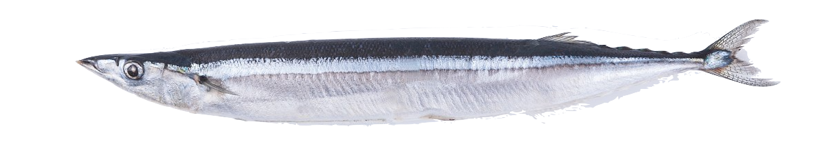 Pike_(2)