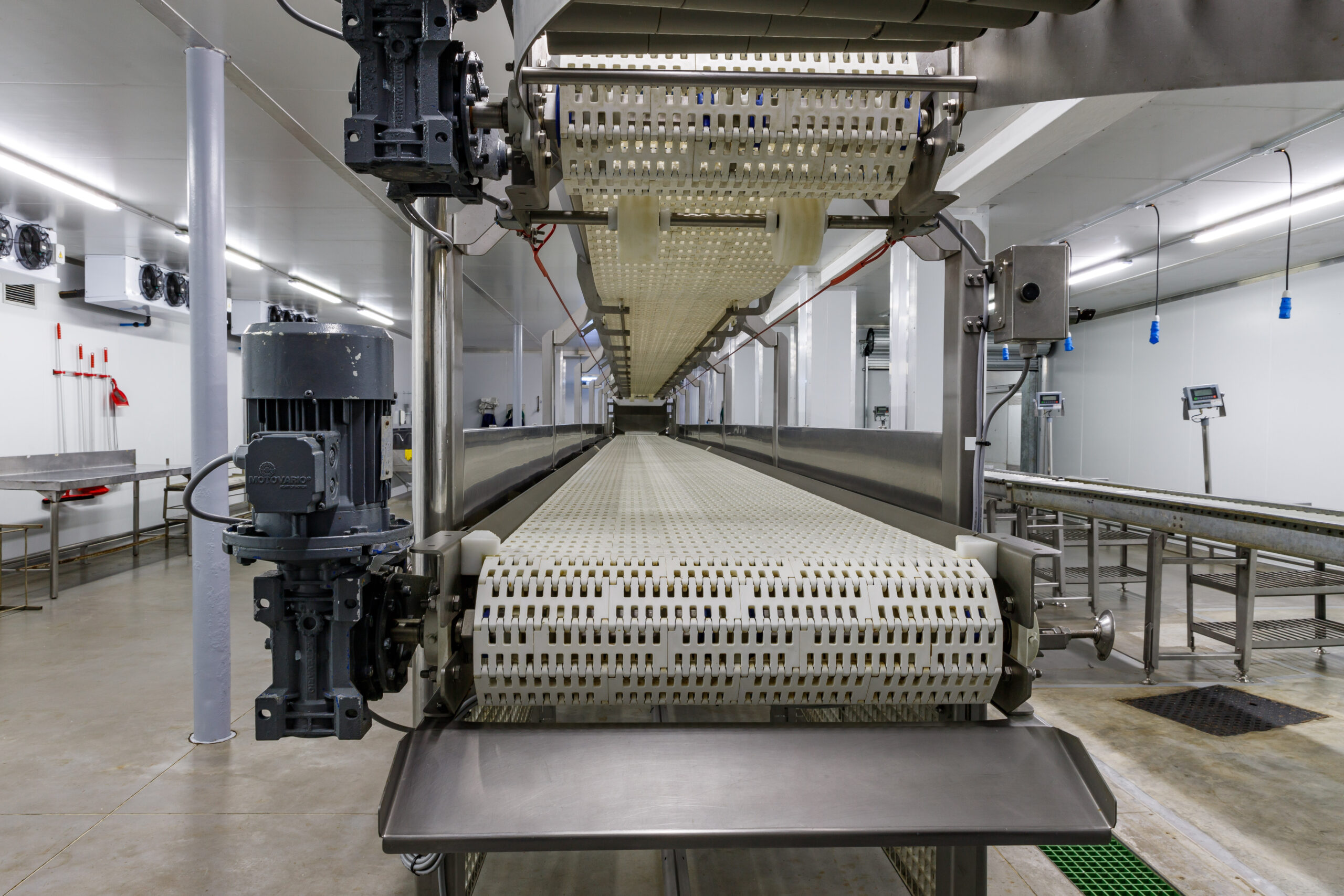 6.Fish conveyor
