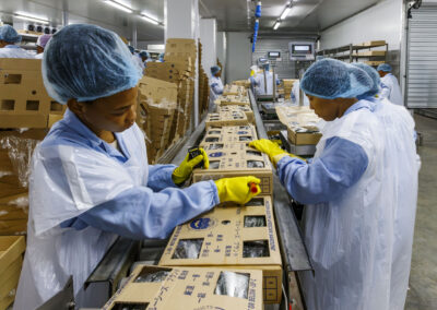 Marking cartons