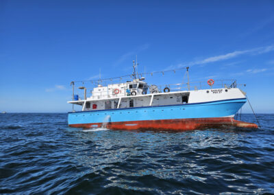 Our squid jigger vessel ‘Bateleur’