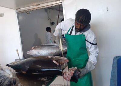 Trimming of Tuna